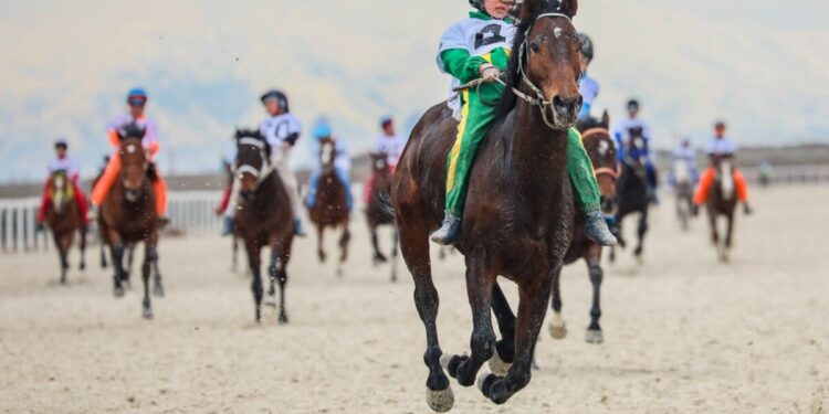 Аламан бәйге: еліміздің үздік шабандоздары Алматы ипподромына жиналады