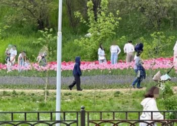 Алматы гүлзарында селфи жасағандарға 370 мың теңгеге дейін айыппұл салынады