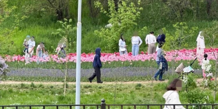 Алматы гүлзарында селфи жасағандарға 370 мың теңгеге дейін айыппұл салынады