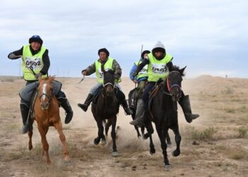 Мәжіліс Қостанай және Адай жылқыларын көбейтуді көздейтін заңды қабылдады