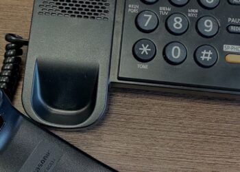 Елордада жалған лаңкес сотталды