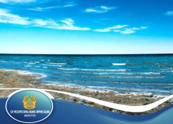 Арал теңізінде су көлемі ұлғайды