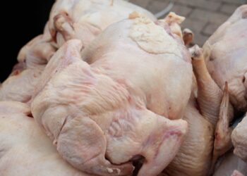 Атырау облысын құс етімен қамтыған фабрика жұмысы 2 жылдан бері тоқтап тұр