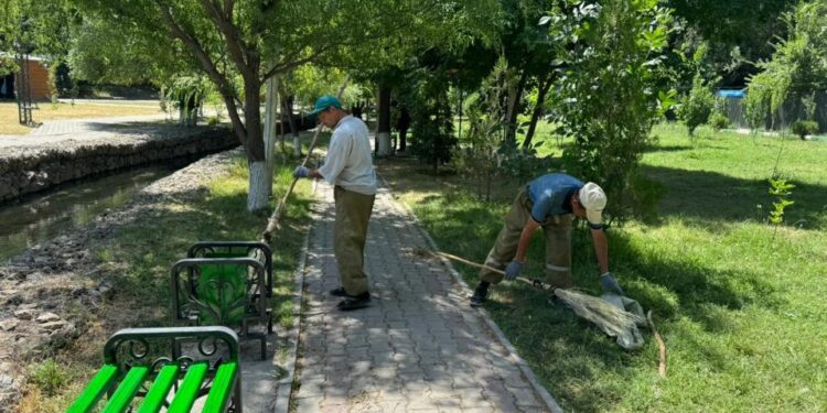 В Шымкенте в рамках акции «Таза Қазақстан» очистили берега главной водной артерии города