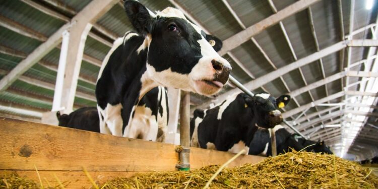 АГРОӨНЕРКӘСІП САЛАСЫНДАҒЫ ЖОБАЛАРДЫ ЖҮЗЕГЕ АСЫРУҒА 100 МЛРД ТЕҢГЕ КӨЗДЕЛГЕН