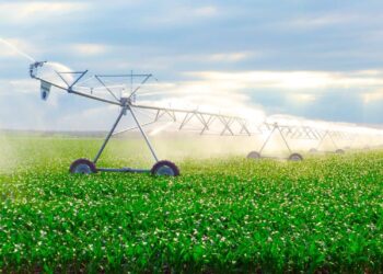 СУДЫ ҮНЕМДЕЙТІН ШАРУАШЫЛЫҚҚА БЕРІЛЕТІН СУБСИДИЯ КӨЛЕМІ 30 ПАЙЫЗҒА АРТТЫ