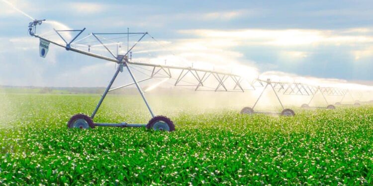 СУДЫ ҮНЕМДЕЙТІН ШАРУАШЫЛЫҚҚА БЕРІЛЕТІН СУБСИДИЯ КӨЛЕМІ 30 ПАЙЫЗҒА АРТТЫ