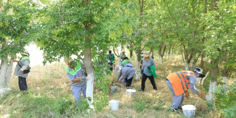«ТАЗА ҚАЗАҚСТАН»: В ТУРКЕСТАНСКОЙ ОБЛАСТИ РЕАЛИЗУЕТСЯ ПРОЕКТ «ОБРАЗЦОВЫЙ АУЛ»