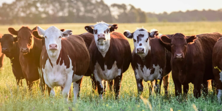 «АУЫЛ АМАНАТЫ»: ҚОСТАНАЙ ОБЛЫСЫ КӨШ БАСЫНДА