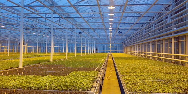 ТҮРКІСТАН ОБЛЫСЫНДА ӘЛЕМДЕГІ ЕҢ ҮЛКЕН ЖЫЛЫЖАЙ САЛЫНАДЫ