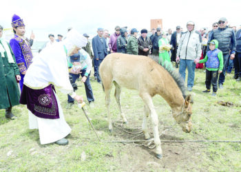 Қарқара төріндегі қымызмұрындық