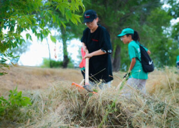 «Таза Қазақстан» акциясы аясында Абай облысының қалалары мен аудандарында ауқымды тазалау жұмыстары жүргізілді