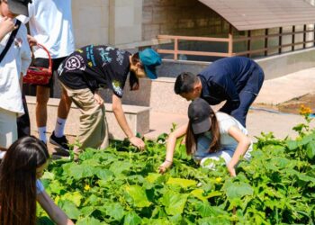 «Таза Қазақстан»: Астанада оқушыларға арналған этно-лагерь ұйымдастырылды