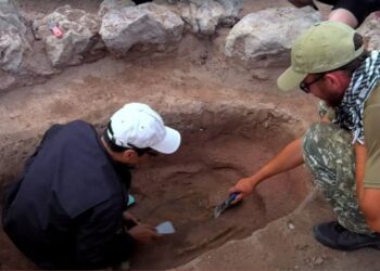 Павлодар облысында қола дәуіріне жататын найзаның ұшы табылды