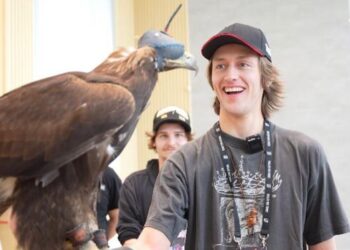 Дүниежүзілік көшпенділер ойындарына міндетті түрде келемін – актер Перси Хайнс Уайт