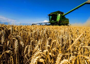 ҚАЗАҚСТАН МЕН ҚЫТАЙ АРАСЫНДАҒЫ АУЫЛ ШАРУАШЫЛЫҒЫ ТАУАР АЙНАЛЫМЫ 15 ПАЙЫЗҒА АРТТЫ