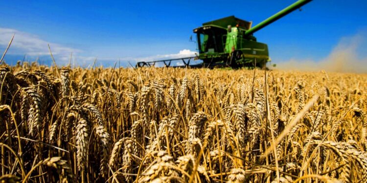 ҚАЗАҚСТАН МЕН ҚЫТАЙ АРАСЫНДАҒЫ АУЫЛ ШАРУАШЫЛЫҒЫ ТАУАР АЙНАЛЫМЫ 15 ПАЙЫЗҒА АРТТЫ