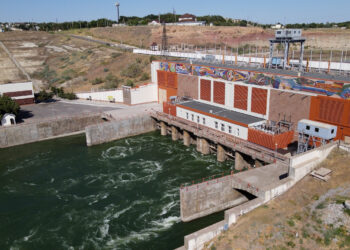 «В этом году воды много, люди довольны. Через 10-15 дней планируем снова собрать урожай», — аграрии Туркестанской области о поливном сезоне-2024