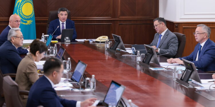 Үкімет басшысы әкімдіктерге елді мекендердегі бағдаршаммен реттелетін жаяу жүргінші жолдарының санын көбейтуді тапсырды