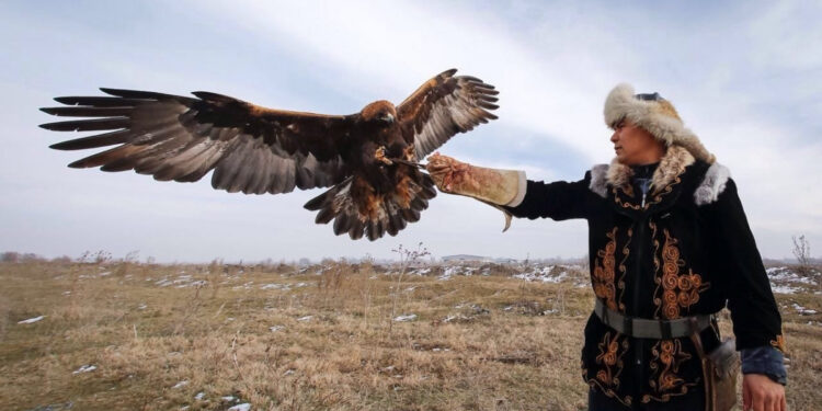 Құсбегілік – қазақтың әрқайсысының қанында бар