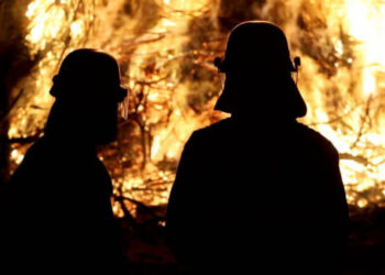 Орманға бөлінген қаржыны жымқырды деген күдікпен 20-дан астам адам ұсталды