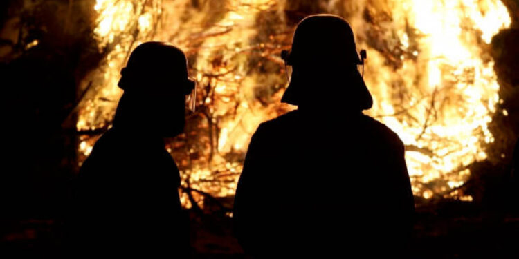 Орманға бөлінген қаржыны жымқырды деген күдікпен 20-дан астам адам ұсталды