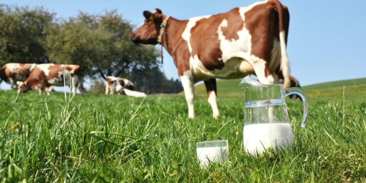 ІРІМШІК ПЕН СҮЗБЕ ӨНДІРІСІ 17%-ҒА АРТТЫ