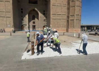 Аида Балаева Түркістан облысына жасаған жұмыс сапарының қорытындысымен бөлісті