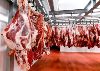 ҚЫТАЙҒА ҚҰНЫ 75 МЛН ДОЛЛАР ҚҰРАЙТЫН ЕТ ЖЕТКІЗІЛЕДІ