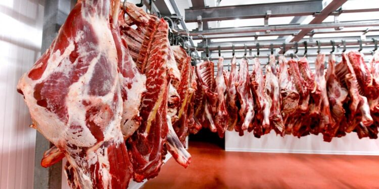 ҚЫТАЙҒА ҚҰНЫ 75 МЛН ДОЛЛАР ҚҰРАЙТЫН ЕТ ЖЕТКІЗІЛЕДІ