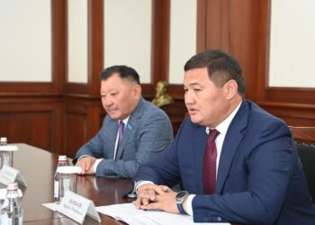 Аймақ басшысы Сенат депутаттарымен кездесті