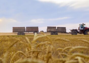 АУЫЛ ШАРУАШЫЛЫҒЫ ҚАЛАЙ ДАМЫП ЖАТЫР?