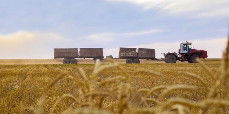 АУЫЛ ШАРУАШЫЛЫҒЫ ҚАЛАЙ ДАМЫП ЖАТЫР?