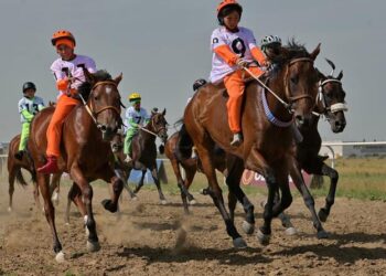 Бәйгеден Дүниежүзілік көшпенділер ойындарына қатысатын жылқылар белгілі болды
