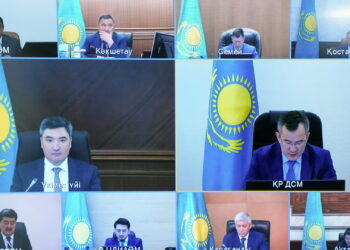 Қазақстанда маймыл шешегінің бірде-бір жағдайы тіркелген жоқ. Үкіметте эпидемиологиялық жағдай қаралды