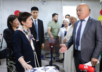 Түйе шаруашылығы және жеңіл өнеркәсіп: Тамара Дүйсенова «Ауыл аманаты» аясындағы бизнес бастамалармен танысты