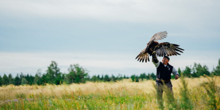 Құсбегілер Дүниежүзілік көшпенділер ойындарына дайындалып жатыр
