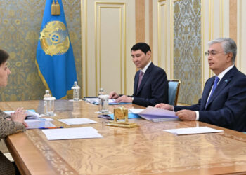 Қасым-Жомарт Тоқаев Премьер-Министрдің орынбасары Тамара Дүйсенованы қабылдады