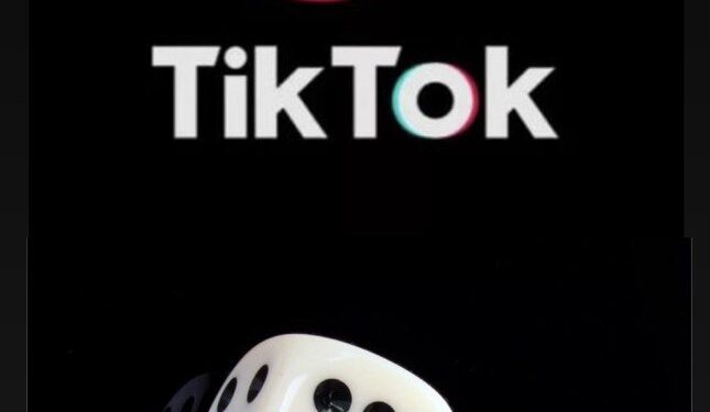 «TikTok» әлеуметтік желісінде құмар ойындарын ұйымдастырғаны және өткізгені үшін сотталды