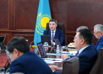 Үкімет АЭС салу бойынша референдум өткізуге қатысты қаулы қабылдады