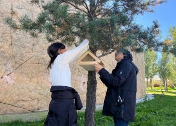 «Таза Қазақстан»: елордалық оқушылар құстарға ұя орнатты