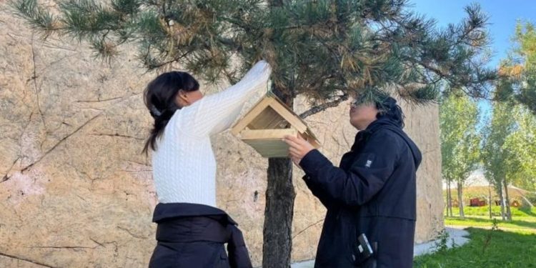 «Таза Қазақстан»: елордалық оқушылар құстарға ұя орнатты