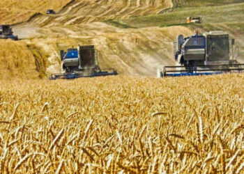 АУЫЛ ШАРУАШЫЛЫҒЫ САЛАСЫНДА НЕСИЕ АЛУДЫ ОҢТАЙЛАНДЫРУ ҚАЖЕТ