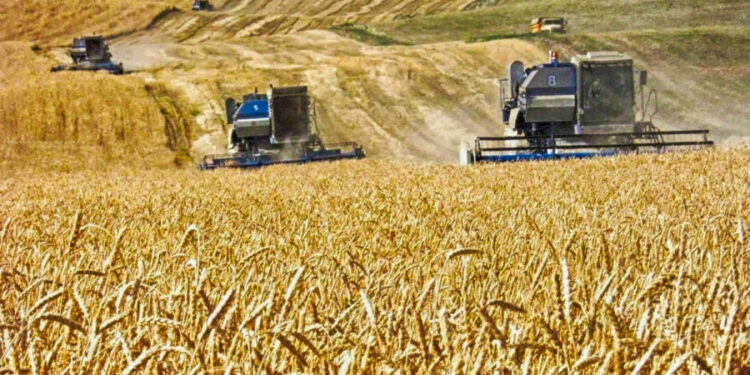 АУЫЛ ШАРУАШЫЛЫҒЫ САЛАСЫНДА НЕСИЕ АЛУДЫ ОҢТАЙЛАНДЫРУ ҚАЖЕТ