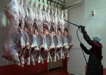 Ірі қара мал етінің алғашқы партиясы Тәжікстанға экспортталды