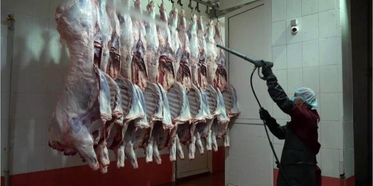 Ірі қара мал етінің алғашқы партиясы Тәжікстанға экспортталды