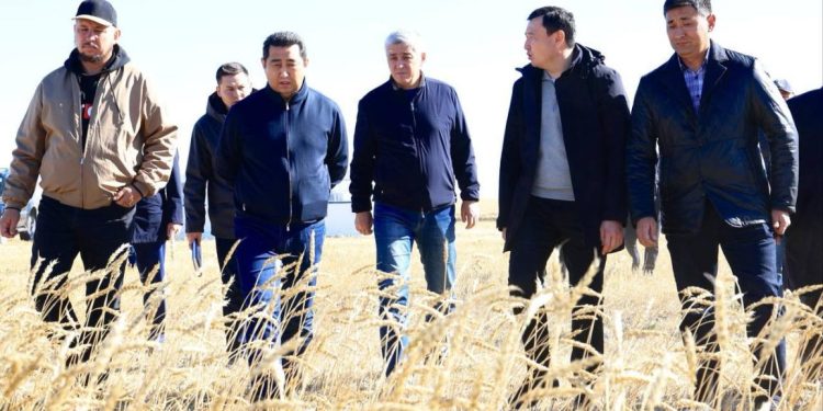Қарағанды облысында егін жинау жұмыстарының барысымен танысты