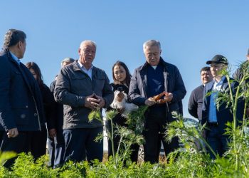 Біз жедел штабта тұрып қалған бес элеваторды іске қосуды қарастырдық