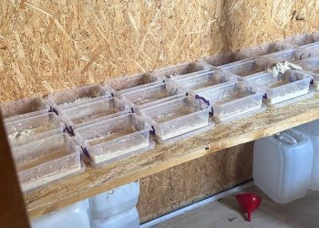 Есірткі зертханасы жойылды