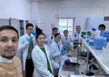 ҚАЗАҚ ҒАЛЫМЫ БИДАЙДЫ ЗЕРТТЕП ЖҮР